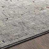 Boli Distressed Statement Rug - Ornate Home