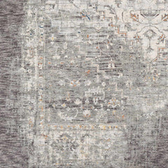 Boli Distressed Statement Rug - Ornate Home