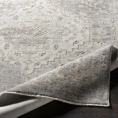 Boli Distressed Statement Rug - Ornate Home