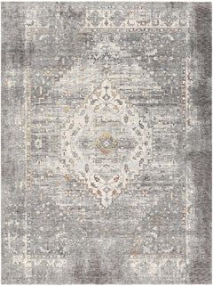 Boli Distressed Statement Rug - Ornate Home
