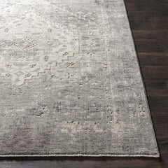 Boli Distressed Statement Rug - Ornate Home