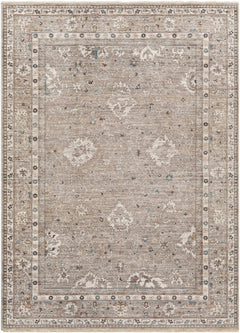 Bolitoc Area Rug - Clearance - Ornate Home