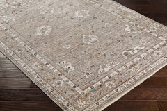 Bolitoc Area Rug - Clearance - Ornate Home