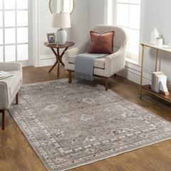 Bolitoc Area Rug - Clearance - Ornate Home