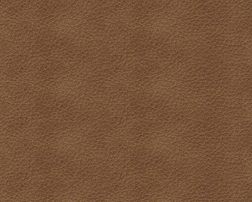Bolsena Caramel Leather Living Room Set / 2pc - Ornate Home