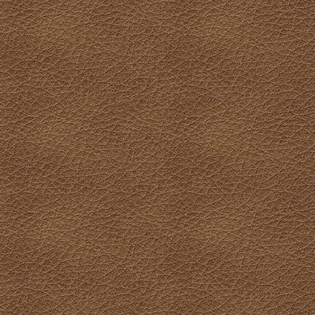 Bolsena Caramel Leather Loveseat - Ornate Home