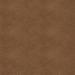 Bolsena Caramel Leather Queen Sofa Sleeper - Ornate Home