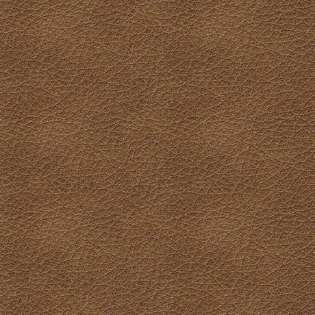 Bolsena Caramel Sofa, Loveseat and Recliner - Ornate Home