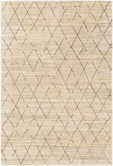 Bonogin Area Rug - Clearance - Ornate Home