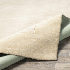 Bordered Solid Beige Wool Rug - Ornate Home