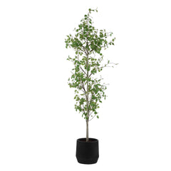 Boreal Birch Potted Tree - Ornate Home