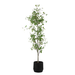 Boreal Birch Potted Tree - Ornate Home