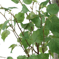 Boreal Birch Potted Tree - Ornate Home