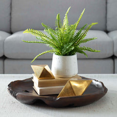 Boston Fern White Ceramic Pot - Ornate Home