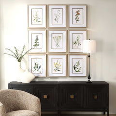Botanical Flowers Multicolor Framed Prints (Set of 9) - Ornate Home