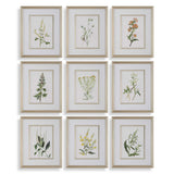 Botanical Flowers Multicolor Framed Prints (Set of 9) - Ornate Home