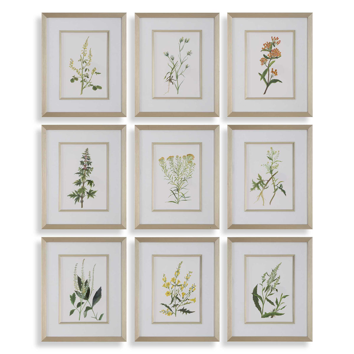 Botanical Flowers Multicolor Framed Prints (Set of 9) - Ornate Home