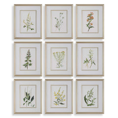 Botanical Flowers Multicolor Framed Prints (Set of 9) - Ornate Home