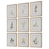 Botanical Flowers Multicolor Framed Prints (Set of 9) - Ornate Home