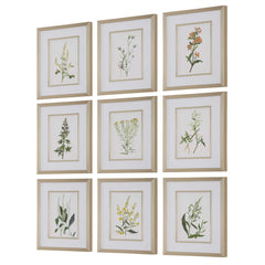 Botanical Flowers Multicolor Framed Prints (Set of 9) - Ornate Home