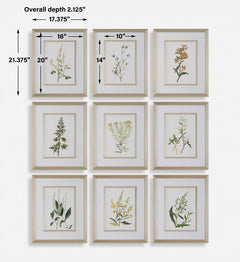 Botanical Flowers Multicolor Framed Prints (Set of 9) - Ornate Home