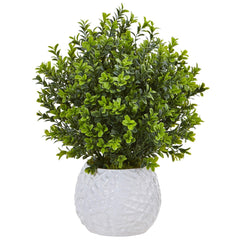 Boxwood in White Vase (Indoor/Outdoor) - Ornate Home