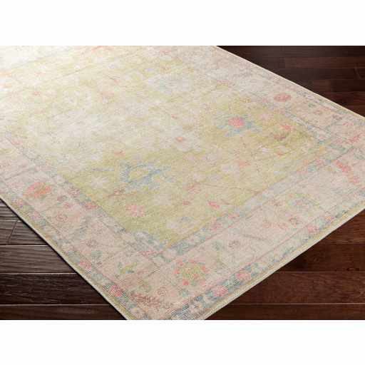 Bozkurt Distressed Washable Rug - Ornate Home
