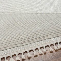 Brac Area Rug - Clearance - Ornate Home