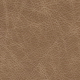 Bradney Tumbleweed Swivel Accent Chair - Ornate Home