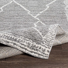 Bramham Area Rug - Ornate Home