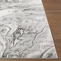 Brandi Gray Marble Area Rug - Ornate Home