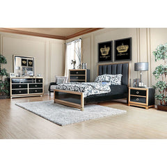 Braunfels Black/Gold Mirror - Ornate Home
