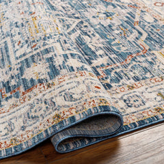 Bree Traditional Style Rug - Clearance - Ornate Home