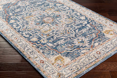 Bree Traditional Style Rug - Clearance - Ornate Home