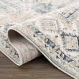 Brend Blue Medallion Area Rug - Ornate Home