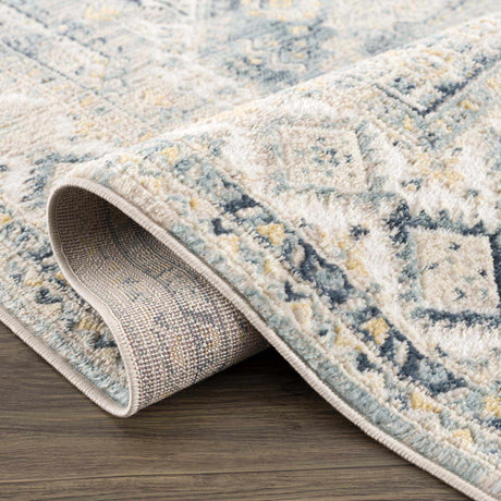 Brend Blue Medallion Area Rug - Ornate Home