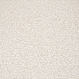 Brently Cream Curved Back Dining Arm Chair (Set of 2) - Ornate Home