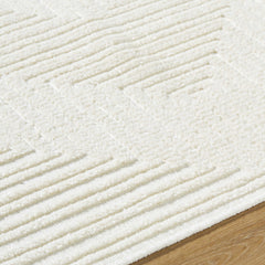 Briana Off-White Washable Area Rug - Ornate Home