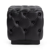 Briar Midnight Raven 18" Square Ottoman - Ornate Home