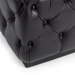 Briar Midnight Raven 18" Square Ottoman - Ornate Home