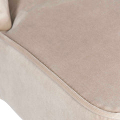 Brie Champagne Armless Chair (Set of 2) - Ornate Home