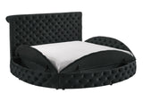 Brigitte Black Queen Upholstered Storage Bed - Ornate Home