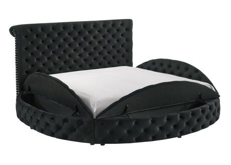 Brigitte Black Queen Upholstered Storage Bed - Ornate Home