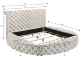 Brigitte Black Queen Upholstered Storage Bed - Ornate Home