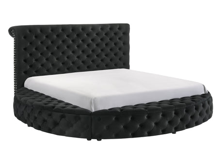 Brigitte Black King Upholstered Storage Bed - Ornate Home