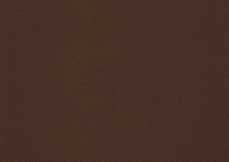 Briscoe Brown Double Glider Reclining Loveseat - Ornate Home