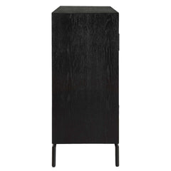 Briseis Black 2 Door Cabinet - Ornate Home