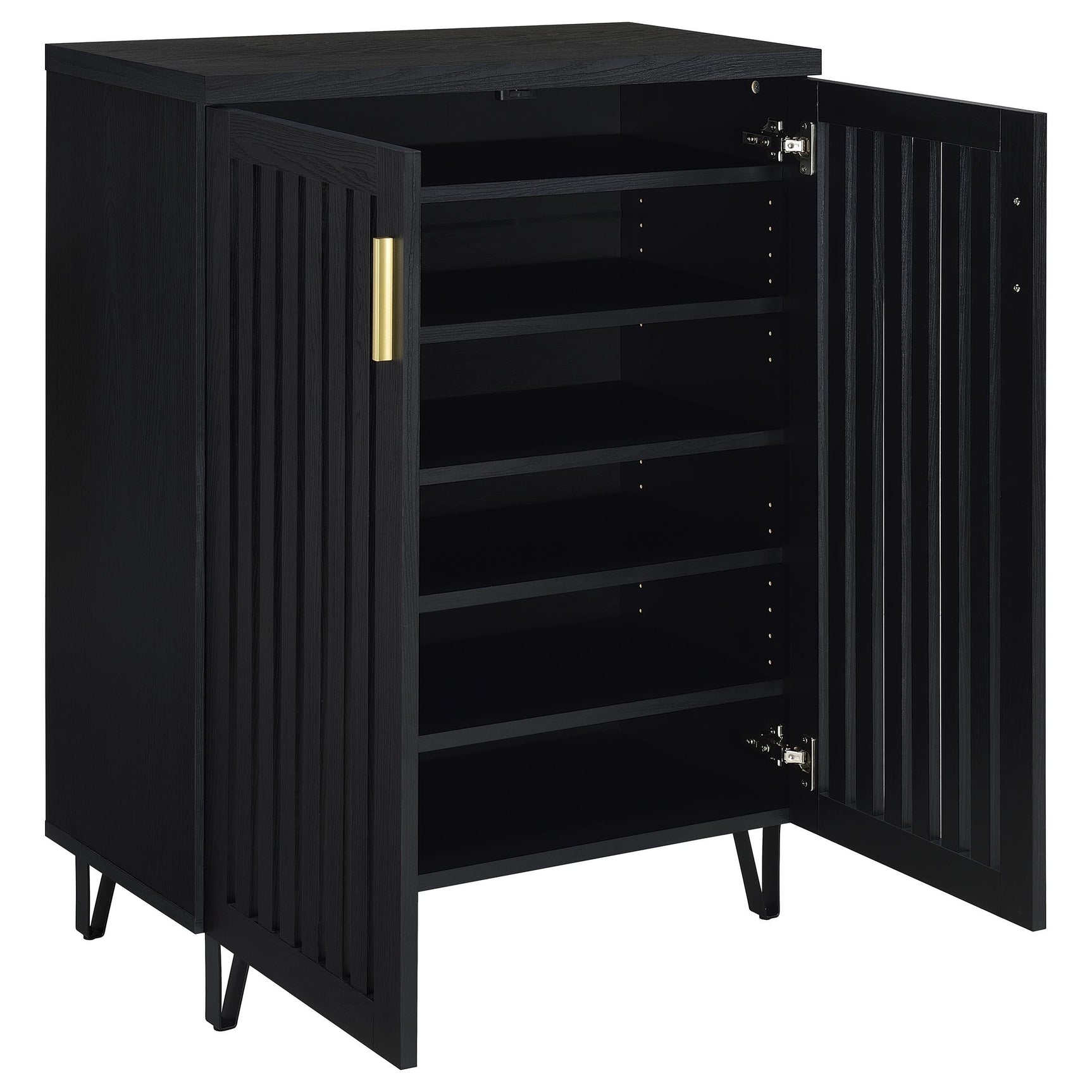 Brixton Black 2-door Entryway Shoe Storage Cabinets - Ornate Home