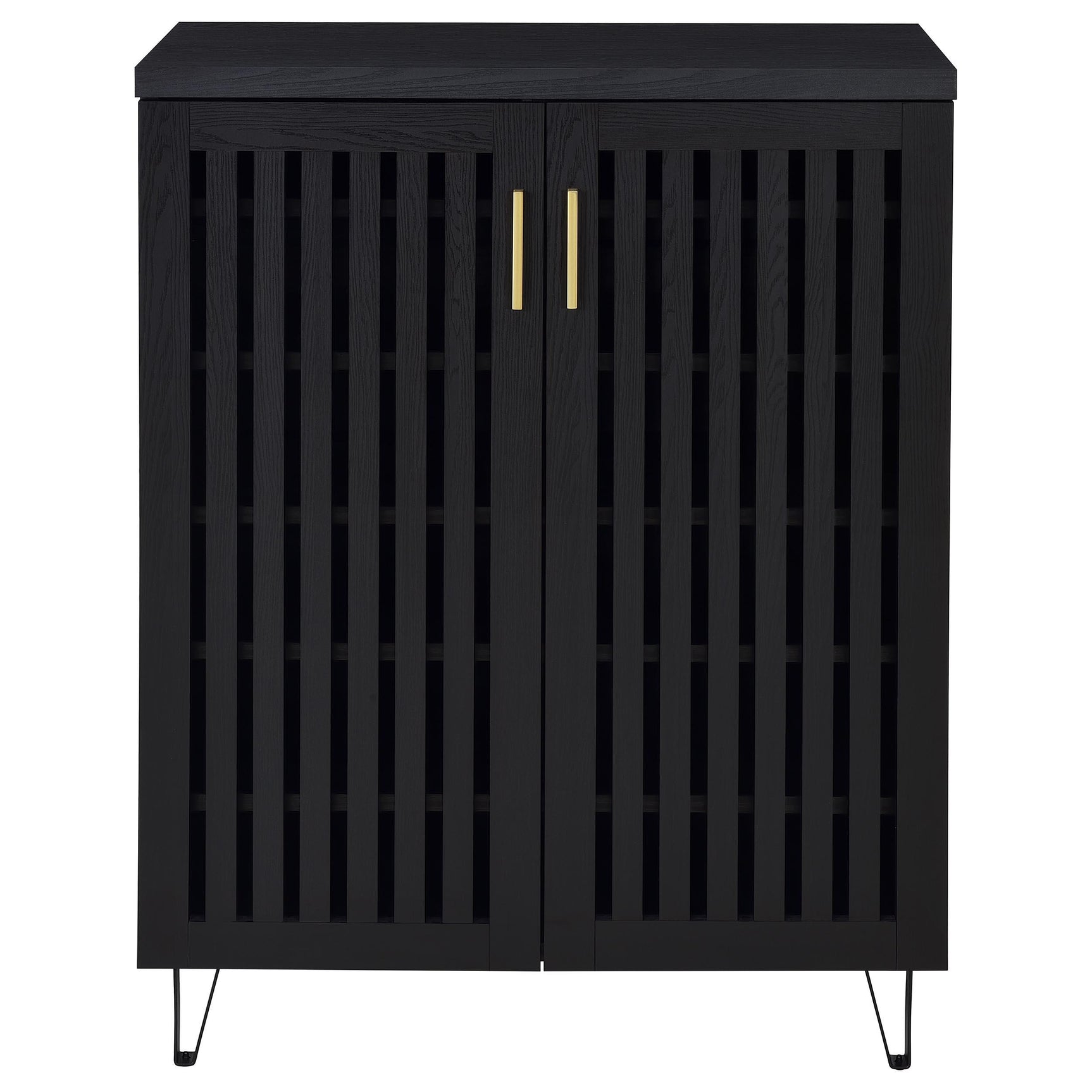 Brixton Black 2-door Entryway Shoe Storage Cabinets - Ornate Home