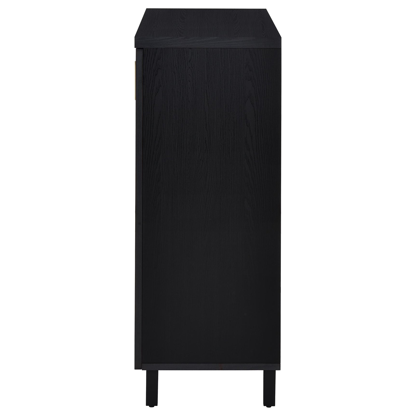 Brixton Black 2-door Entryway Shoe Storage Cabinets - Ornate Home